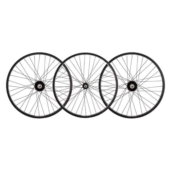 Wheel Master 24in Trike WEI AS7X SET B/O 3/8x100-65mm W/MAB-1000 Rim Brake Sil