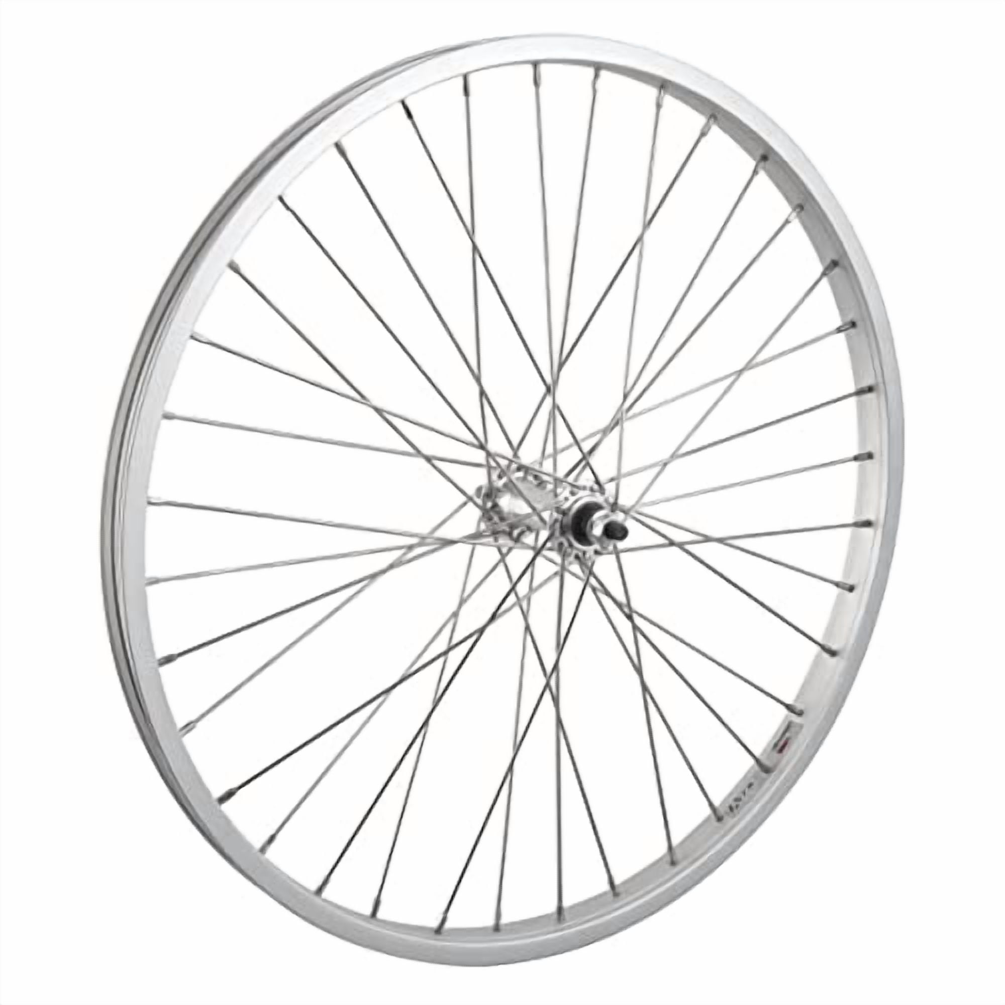 Ruota Posteriore Wheel Master 24" Per Cruiser, Cerchio Weinmann AS7X, 36 Fori, Sottobicchiere