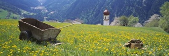 Wheelbarrow in a field Austria Canvas Art - Panoramic Images (36 x 12)