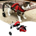 thumbnail image 1 of Wheelchair For Rear Leg Support Adjustable Mobility Aid For Ideal For Indoor Outdoor Use Cat And Small Dog Wheelchair Pet Mobility, 1 of 7