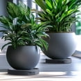 thumbnail image 1 of Wheeled Plant Tray Round Thickened Mobile Drainage Base for Potted Plants Easy Rolling Plant Caddy for Effortless Repositioning Ideal for Indoor and Outdoor Gardening, 1 of 6