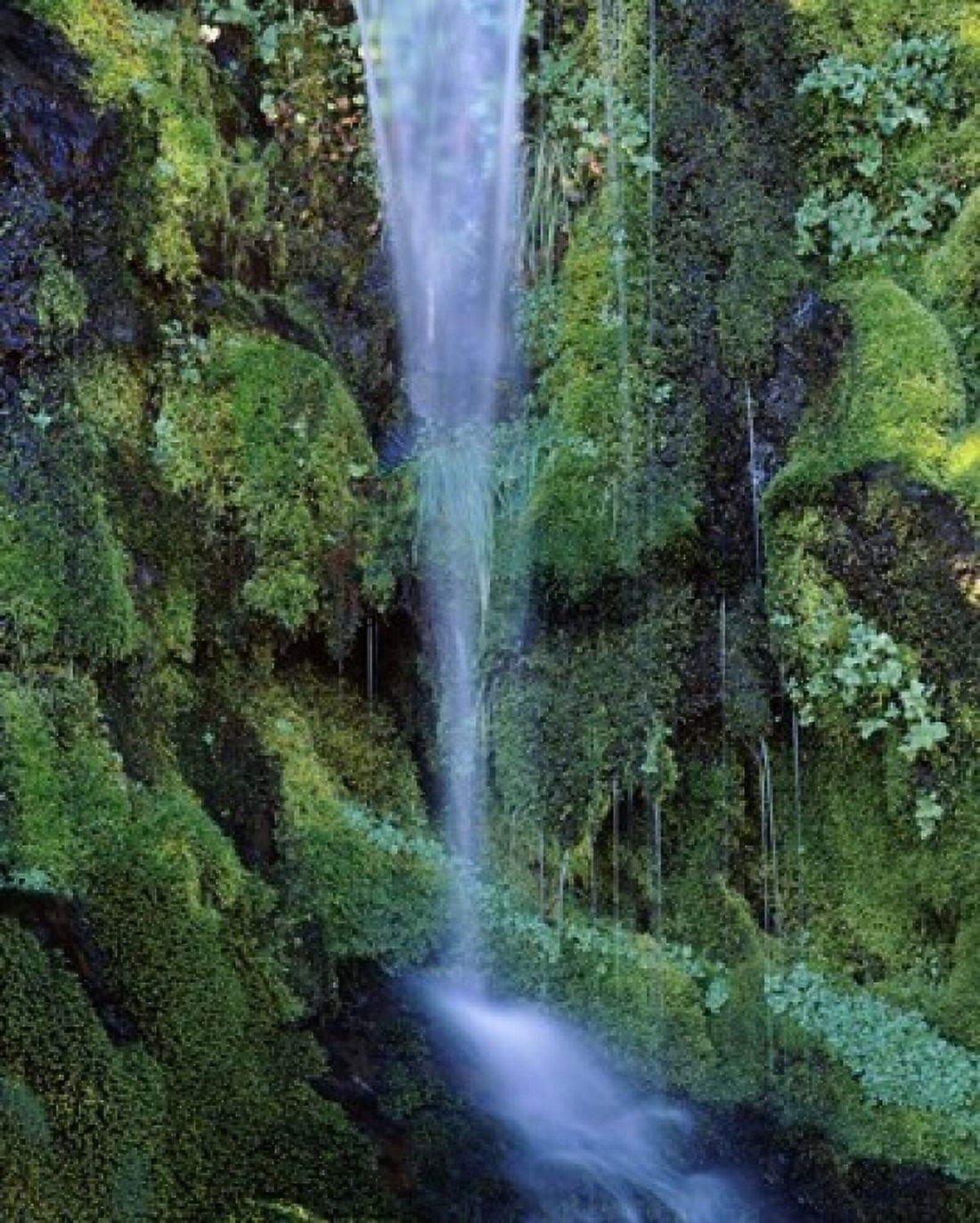 Wheeler Creek Waterfall on Dutton Ridge Crater Lake National Park Oregon USA Canvas Art - Panoramic Images (29 x 36)