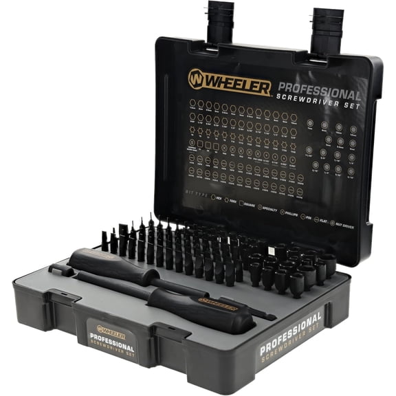 Wheeler Engineering 100-Piece Professional Screwdriver Set with Steel Construction, Metric and Standard Sizes, Storage Case, for Gunsmithing and Maintenance
