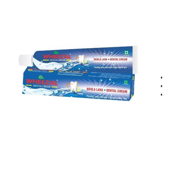 Wheezal Hekla Lava Dental Cream 100 gm Cream
