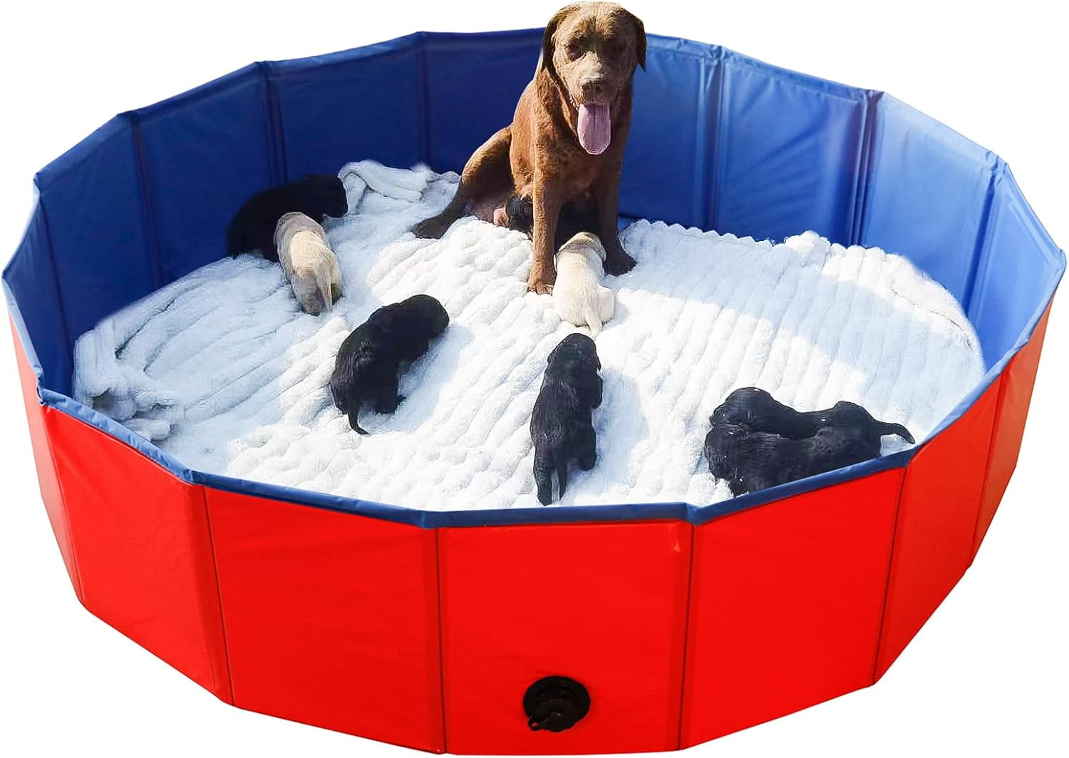 Whelping Pen For Dogs In House Dog Playpen Buy Whelping Box For
