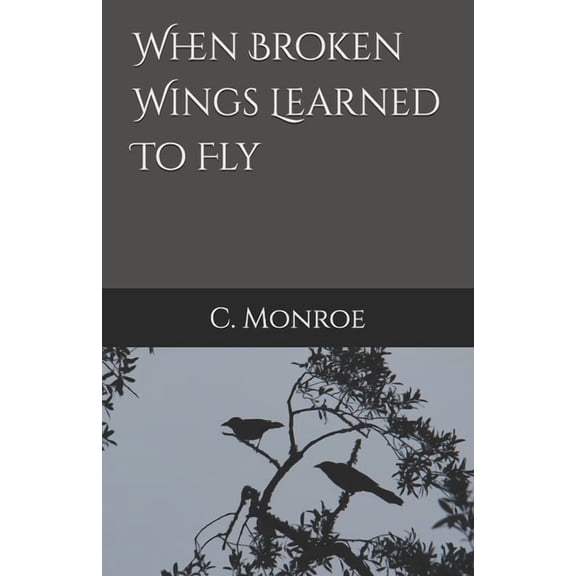 When Broken Wings Learned To Fly, (Paperback)