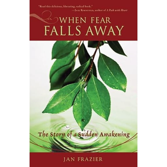 Pre-Owned When Fear Falls Away: The Story of a Sudden Awakening (Paperback) 1578634008 9781578634002
