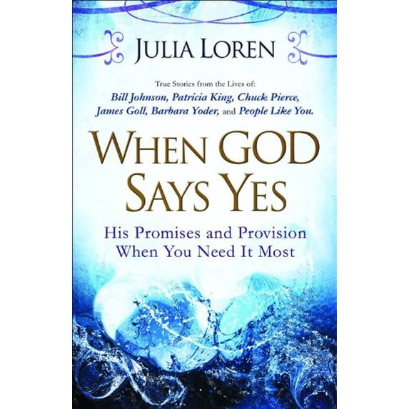 Pre-Owned When God Says Yes: His Promise and Provision When You Need It Most (Paperback) 0800794869 9780800794866