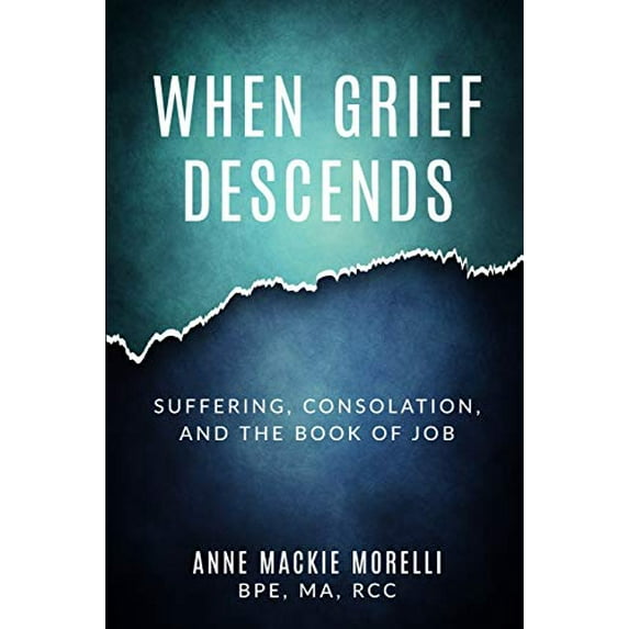 Pre-Owned When Grief Descends: Suffering, Consolation, And The Book Of Job Paperback