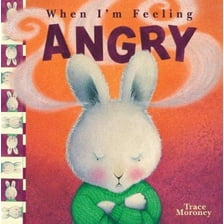 Clever Hide & Seek Guess the Emotions: A Lift-The-Flap Book with 35 ...