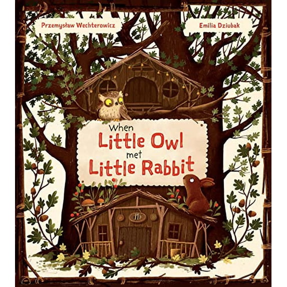 Pre-Owned When Little Owl Met Little Rabbit (Hardcover) 1782507744 9781782507741