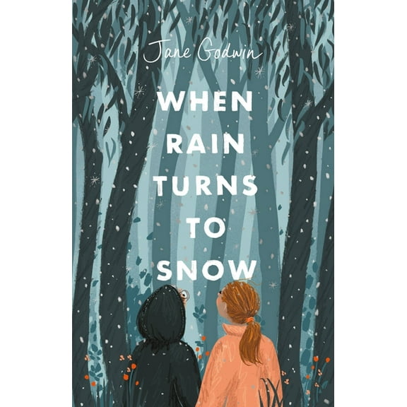 When Rain Turns to Snow (Paperback)