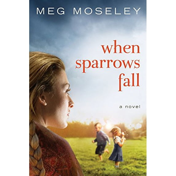 Pre-Owned When Sparrows Fall (Paperback) 1601423551 9781601423559