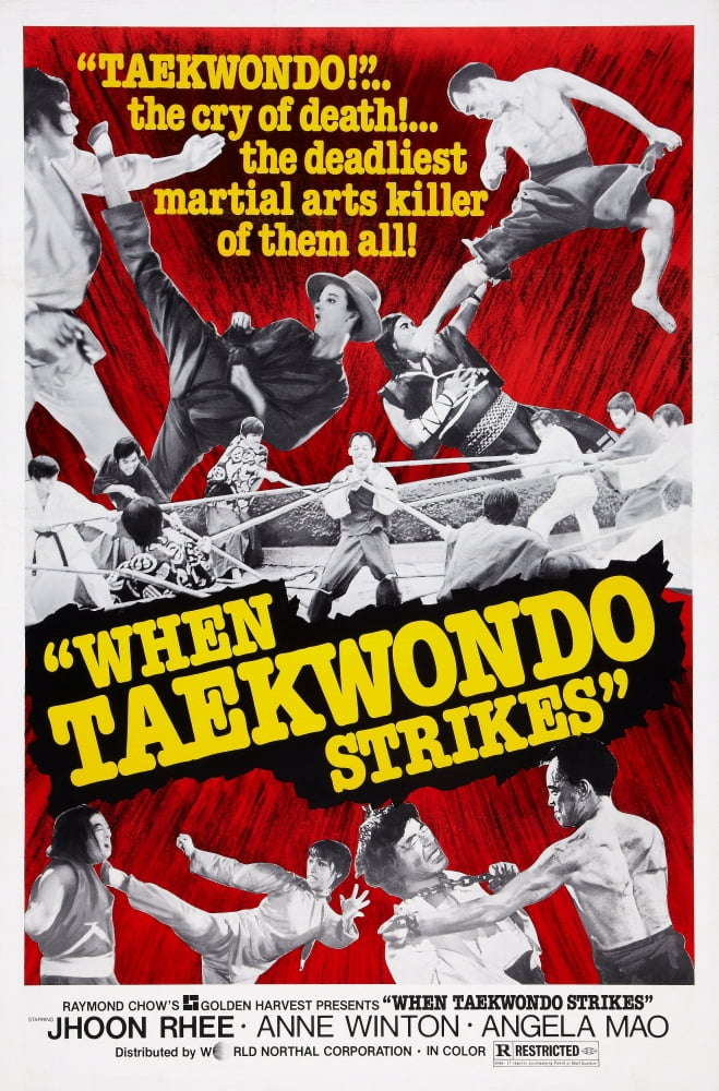 When Taekwondo Strikes Canvas Art -  (11 x 17)