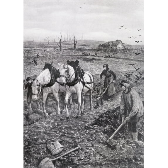 When The Armies Moved On During The First World War French And Belgian Farmers Had To Start Work Again In Their Ruined F