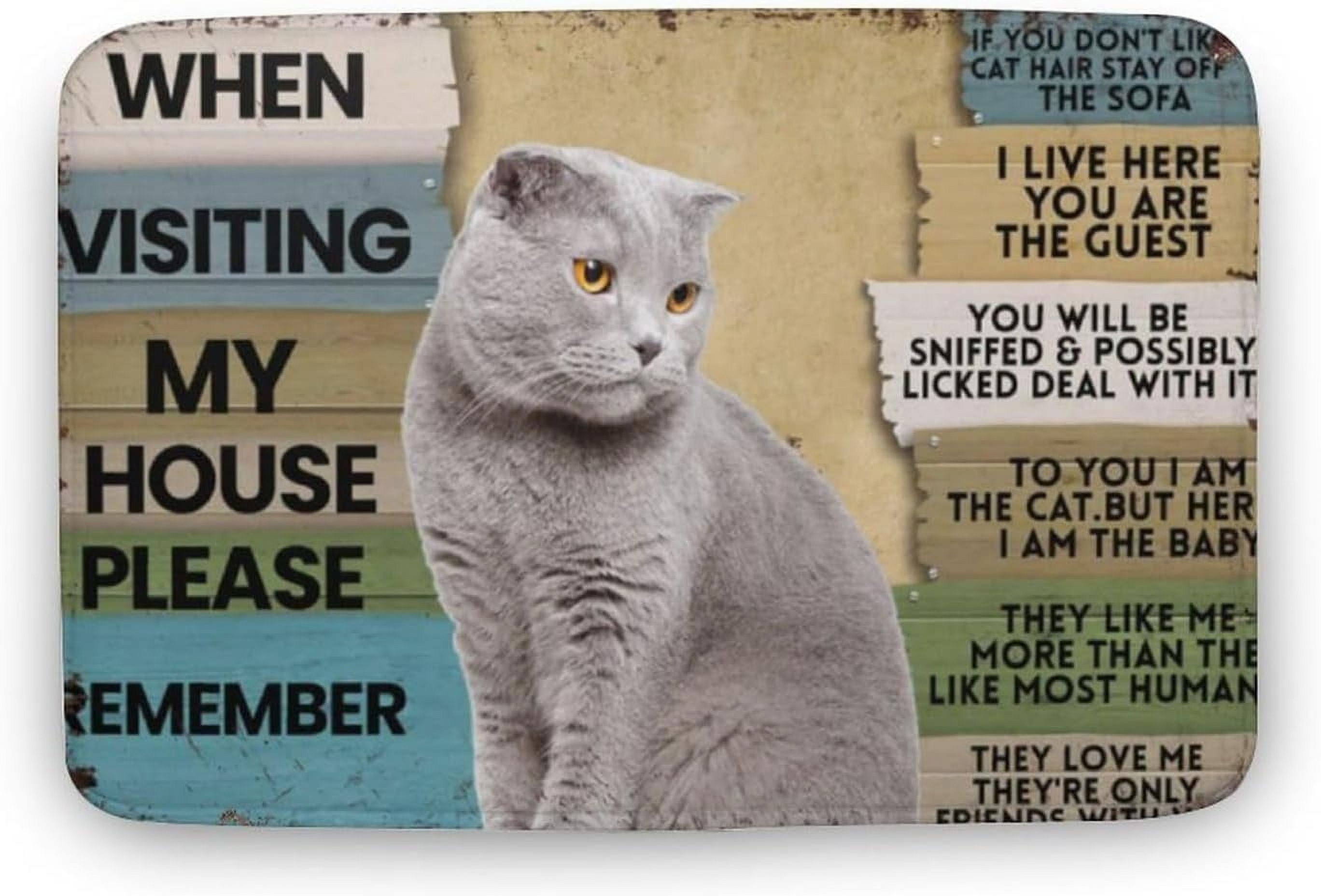 When Visiting My House Please Remember Cat Door Mat Mat for Cat Lovers Cute Cat Doormat
