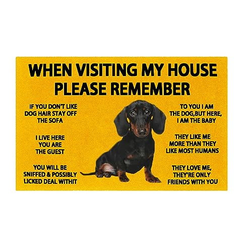 When Visiting My House Please Remember Cute Beagle Indoor Doormat ...