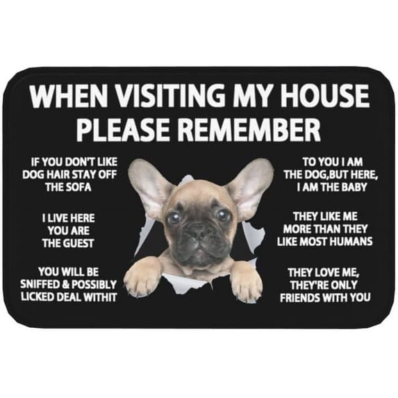 When Visiting My House Please Remember French Bulldog Indoor Doormat Durable Welcome Front Door Mats Entryway Rugs Non-Slip Absorbent Area Rugs Resist Dirt Carpet for Room Decor 18 x 30 Inch