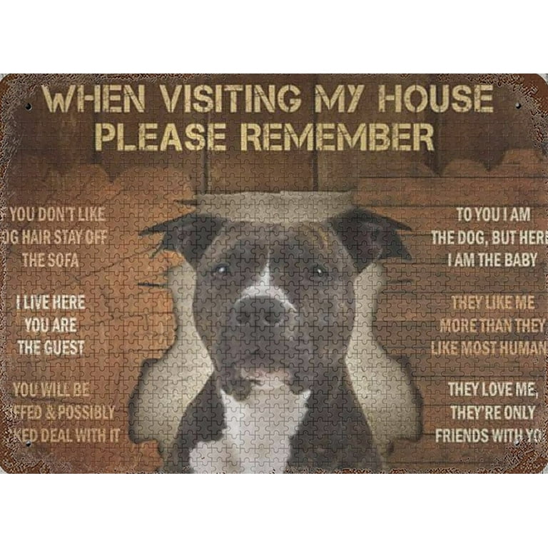 Big Pitbull Dog In House When Visiting My House Please Remember
