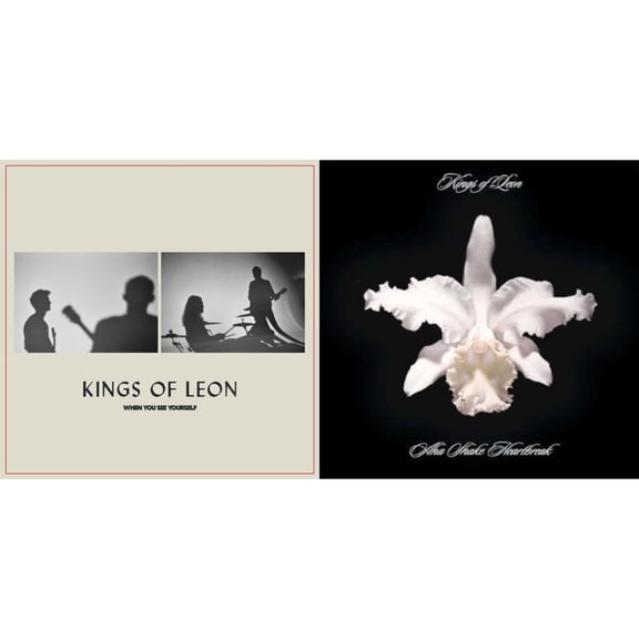 When You See Yourself (2LP/180G) & Aha Shake Heartbreak (2LP/180G/Gatefold)