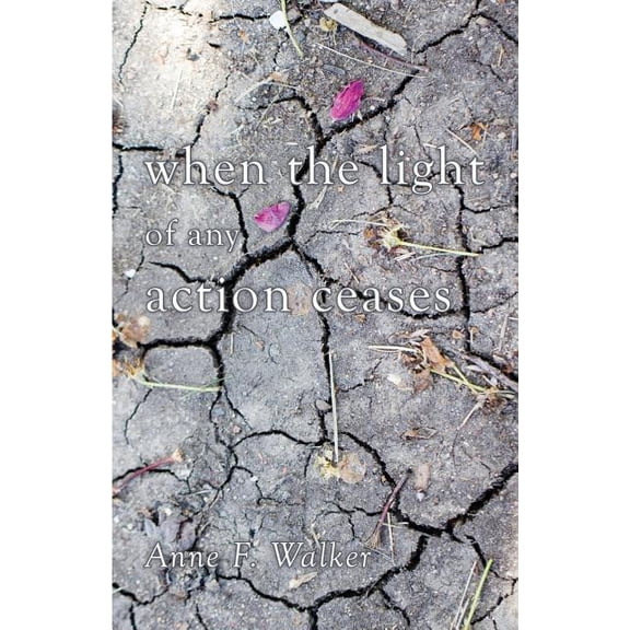 when the light of any action ceases (Paperback) by Anne F Walker