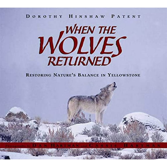 Pre-Owned When the Wolves Returned: Restoring Nature's Balance in Yellowstone (Hardcover) 0802796869 9780802796868