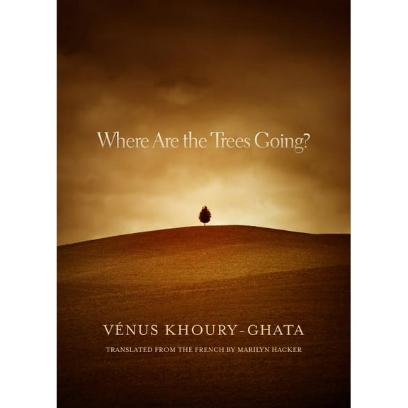 Where Are the Trees Going? (Paperback)