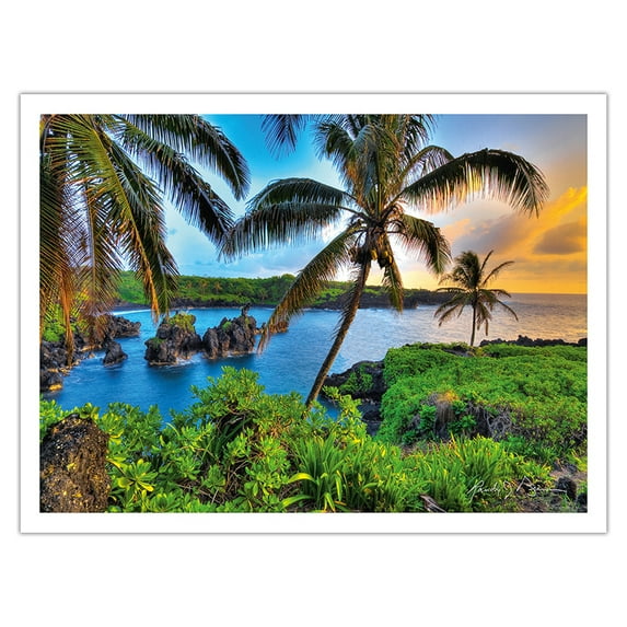 Where Da Coconuts Grow - Hana Hawai’i - From an Original Color Photograph by Randy Jay Braun - Bamboo Fine Art 290gsm Paper (Unframed) 12x16in