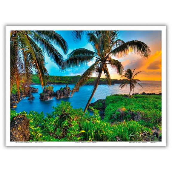 Where Da Coconuts Grow - Hana Hawai’i - From an Original Color Photograph by Randy Jay Braun - Master Art Print (Unframed) 9in x 12in