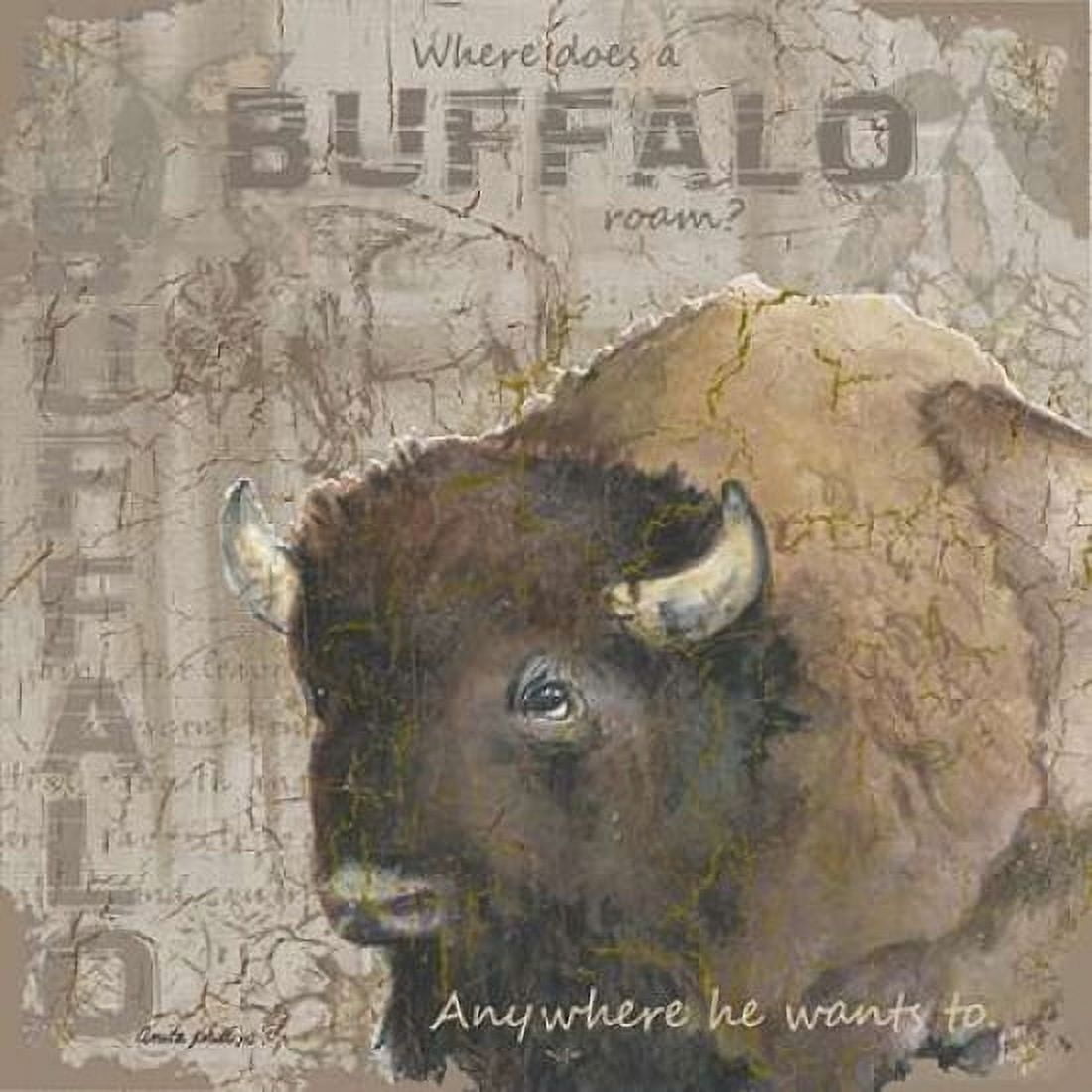 Where Does a Buffalo Roam Canvas Art - Anita Phillips (24 x 24)