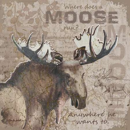 Where Does a Moose Run Canvas Art - Anita Phillips (24 x 24)