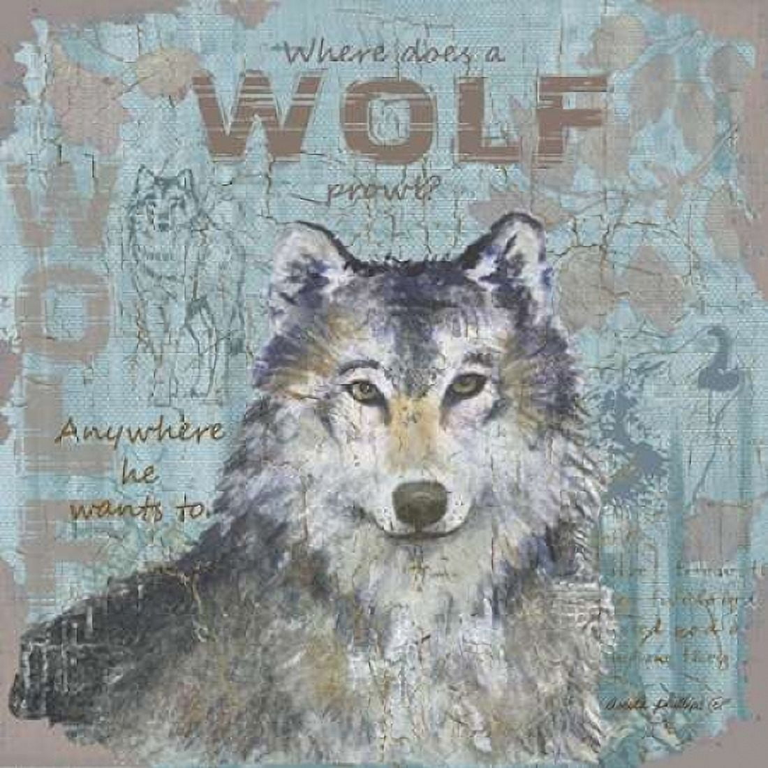 Where Does a Wolf Prowl Canvas Art - Anita Phillips (24 x 24)