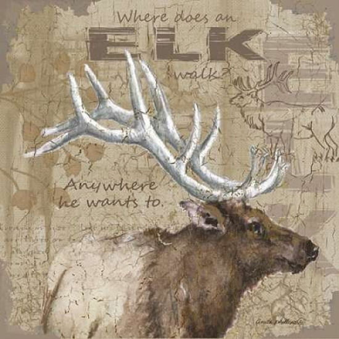 Where Does an Elk Walk Canvas Art - Anita Phillips (24 x 24)