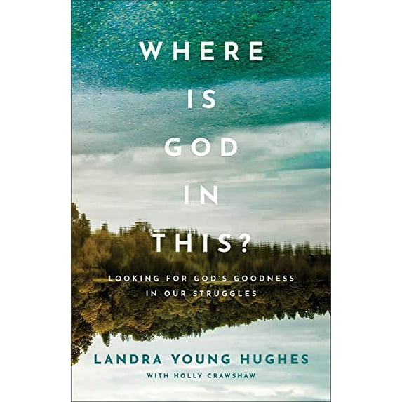 Pre-Owned Where Is God in This?: Looking for God's Goodness in Our Struggles (Paperback) 0801094844 9780801094842