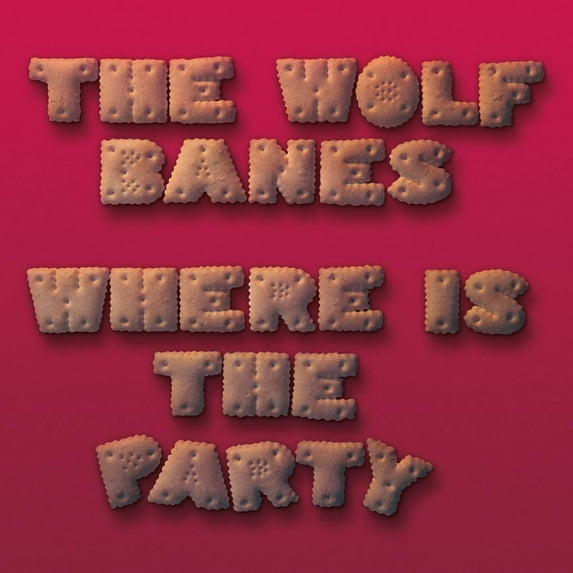 Where Is the Party (Audiobook)