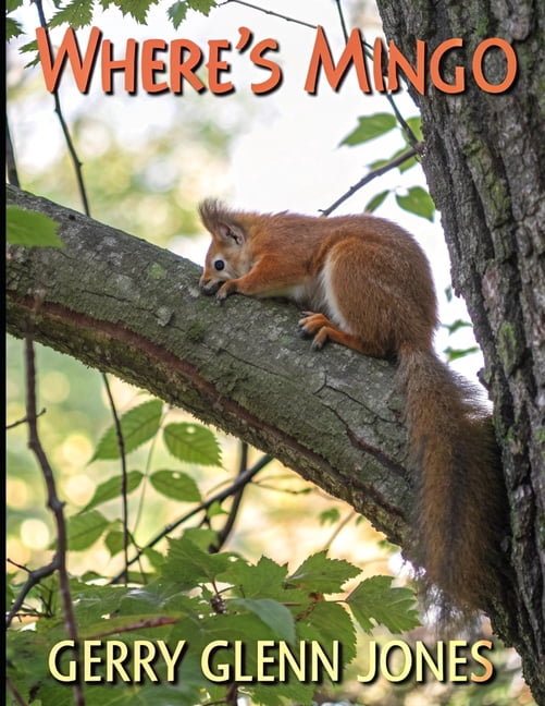 Where's Mingo, (Paperback)