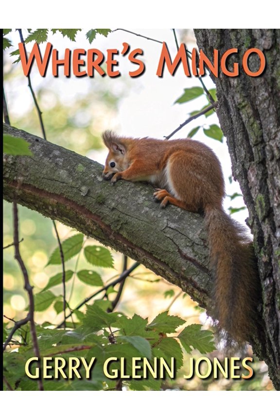 Where's Mingo, (Paperback)