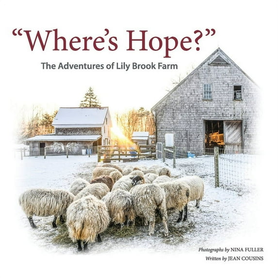 "Where's Hope?": The Adventures of Lily Brook Farm, (Paperback)