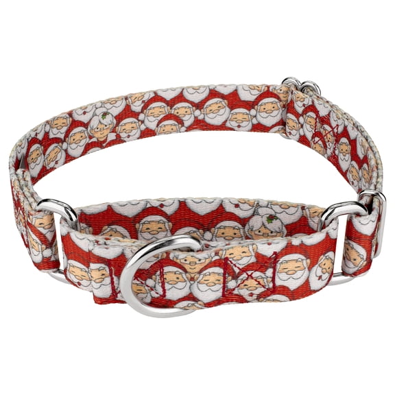 Country Brook Petz® Where's Merry Martingale Dog Collar, Medium