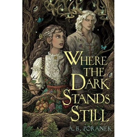 Pre-Owned Where the Dark Stands Still (Hardcover) 1665936479 9781665936477