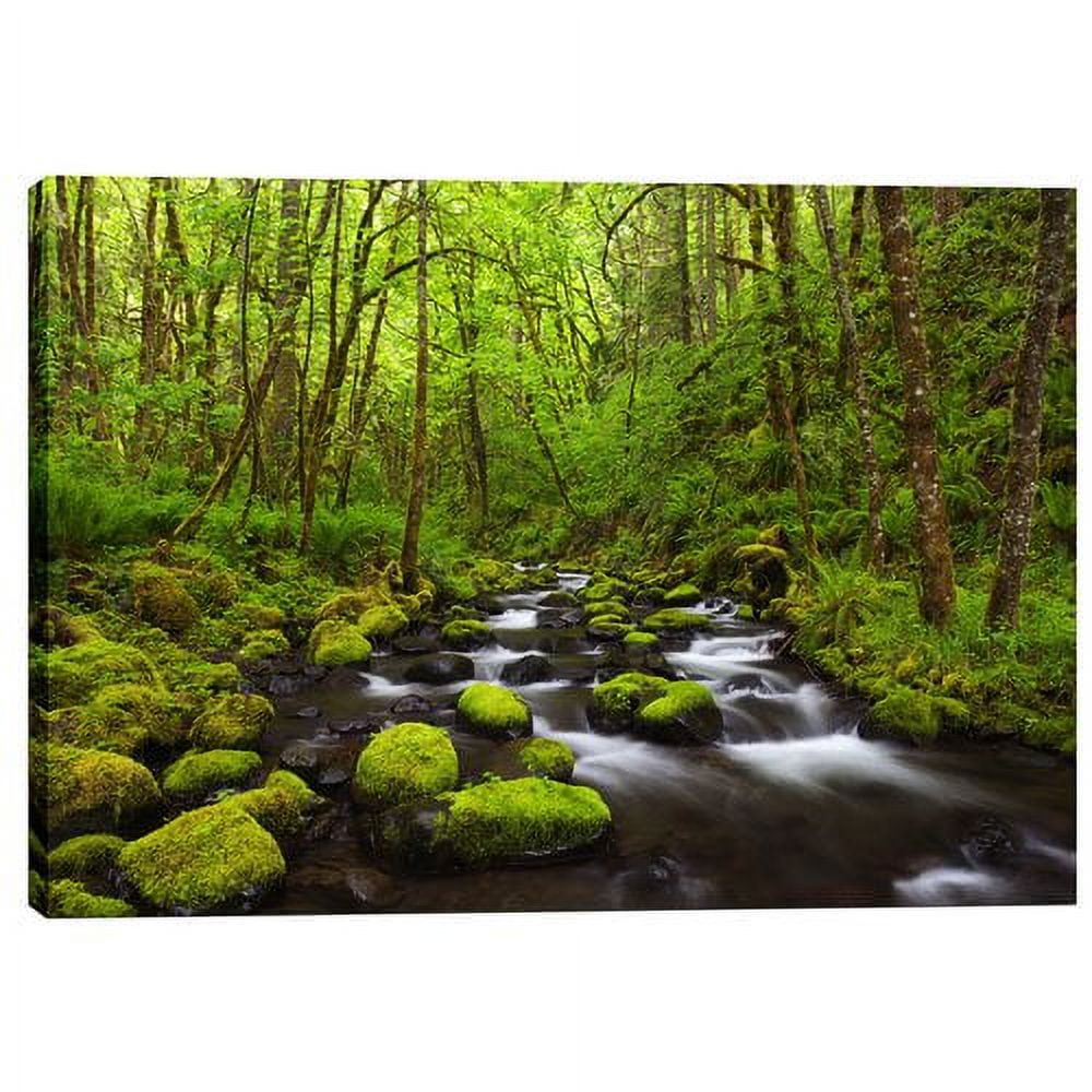 Green Forest Stream Landscape Canvas Print 12" x 18"