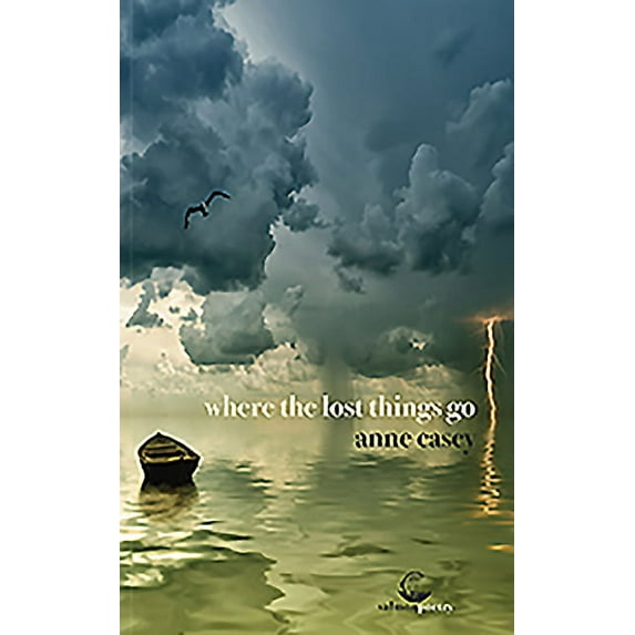Where the Lost Things Go (Paperback)