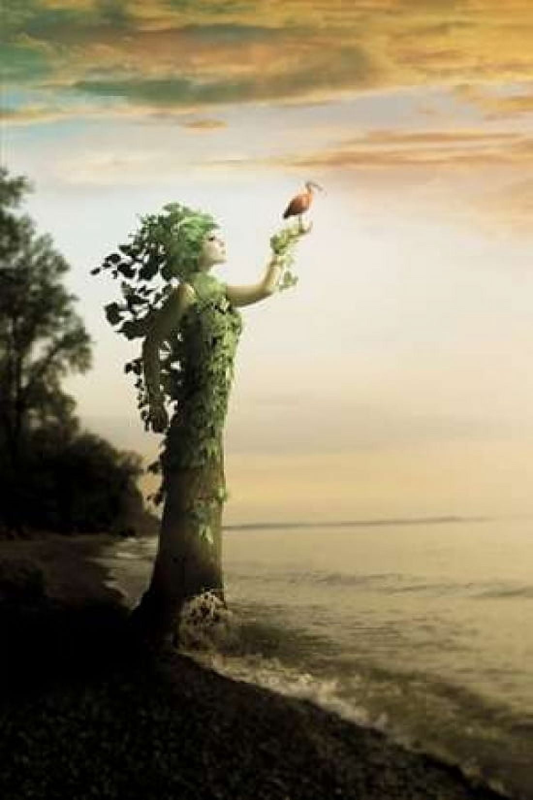 Where the Trees Stand Canvas Art - Jeff Madison (24 x 36)