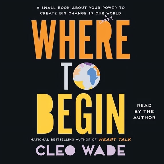 Where to Begin: A Small Book about Your Power to Create Big Change in Our Crazy World, (Audiobook)