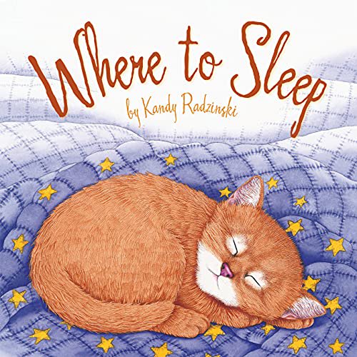 Pre-Owned Where to Sleep (Board book) 1585365351 9781585365357