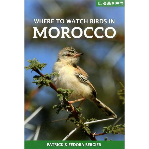Where to Watch Birds in Morocco (Paperback)