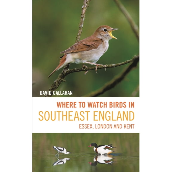 Where to Watch Birds: Where to Watch Birds in Southeast England : Essex, London and Kent (Paperback)