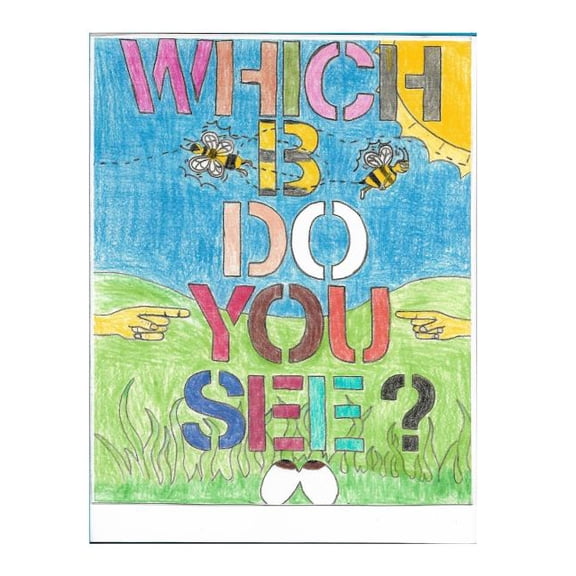 Which Which B Do You See?, Book 1, (Paperback)
