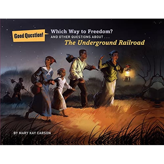 Pre-Owned Which Way to Freedom?: And Other Questions about the Underground Railroad (Paperback) 1454907851 9781454907855