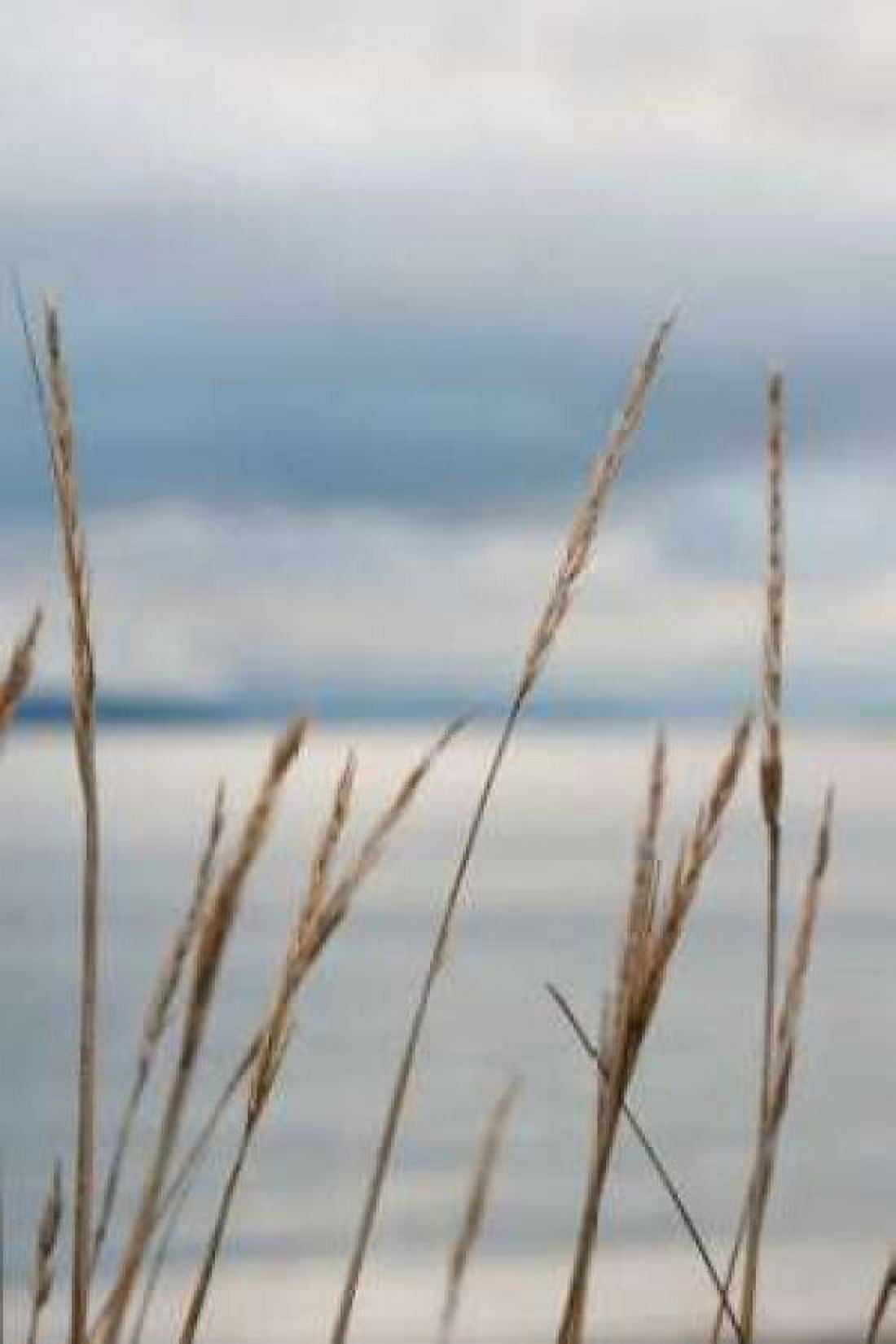 Whidbey Grass III Canvas Art - Erin Berzel (12 x 18)